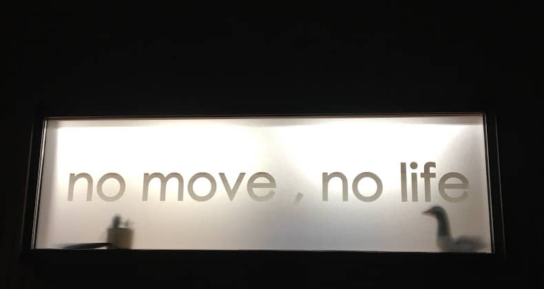 no move,no life【マンテンジム】の画像4