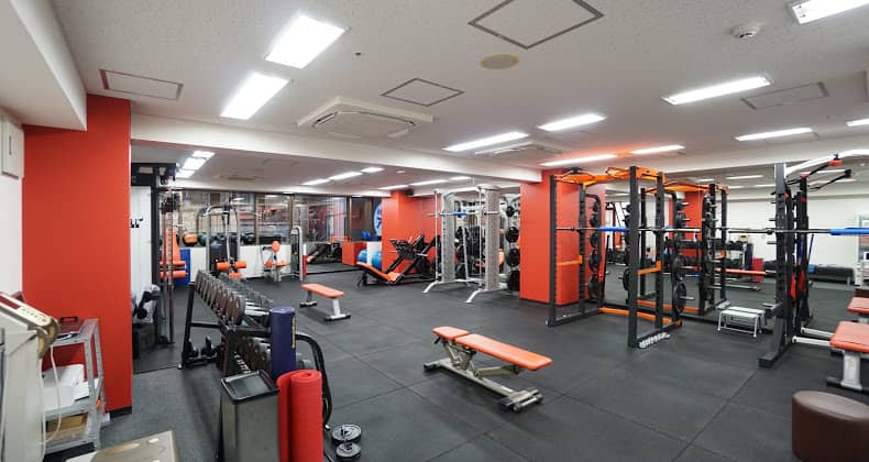 navisの画像2