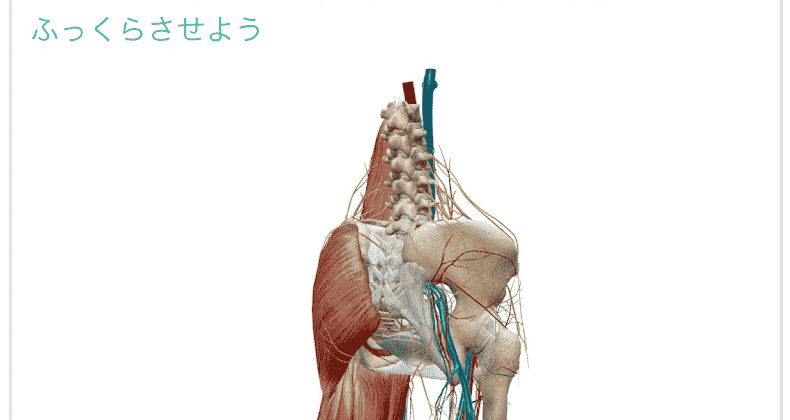 Conditioning Studio BODYWISEの画像6